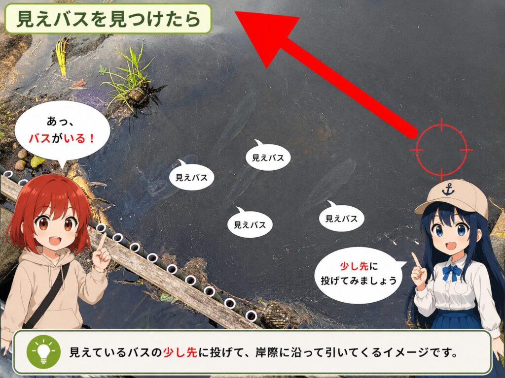 見えているブラックバスの少し先へルアーを投げるイメージ図
