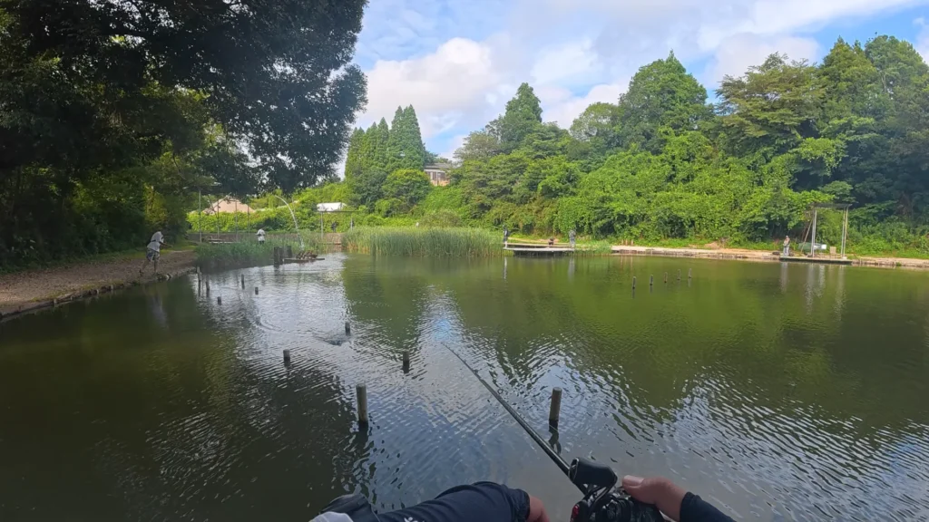 釣パラトップウォーターミーティングの際の池の様子