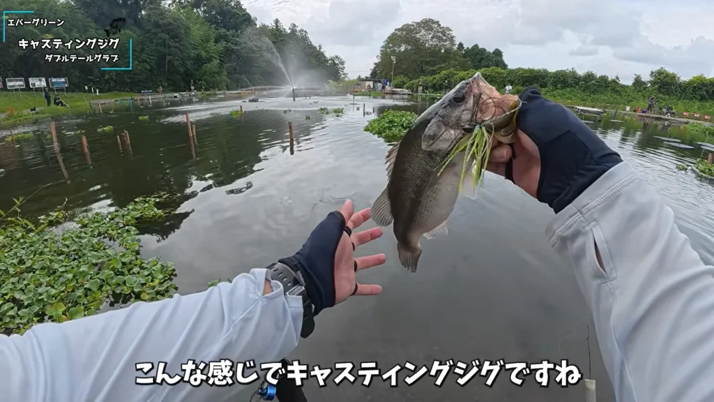 宮城アングラーズヴィレッジでエバーグリーン キャスティングジグ×ダブルテールグラブに釣れたバス