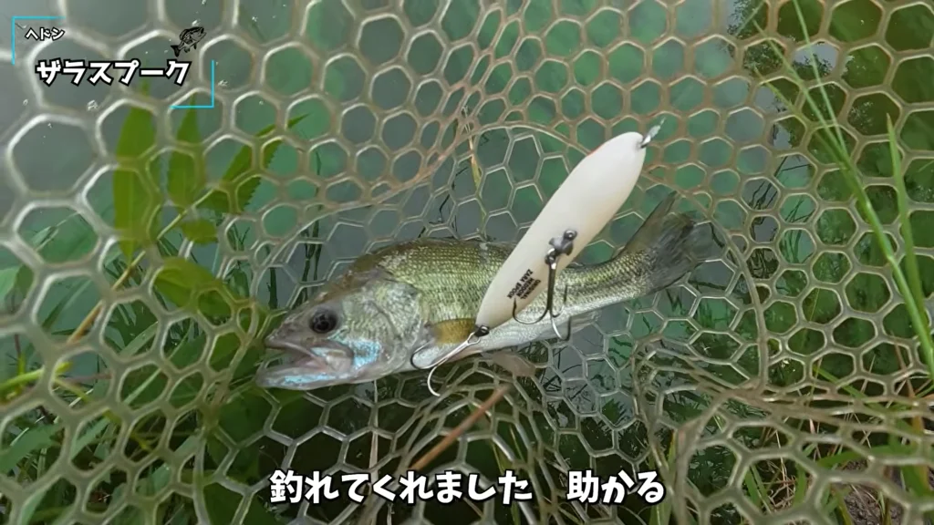 フィッシング・パル佐野でヘドン ザラスプークに釣れたバス